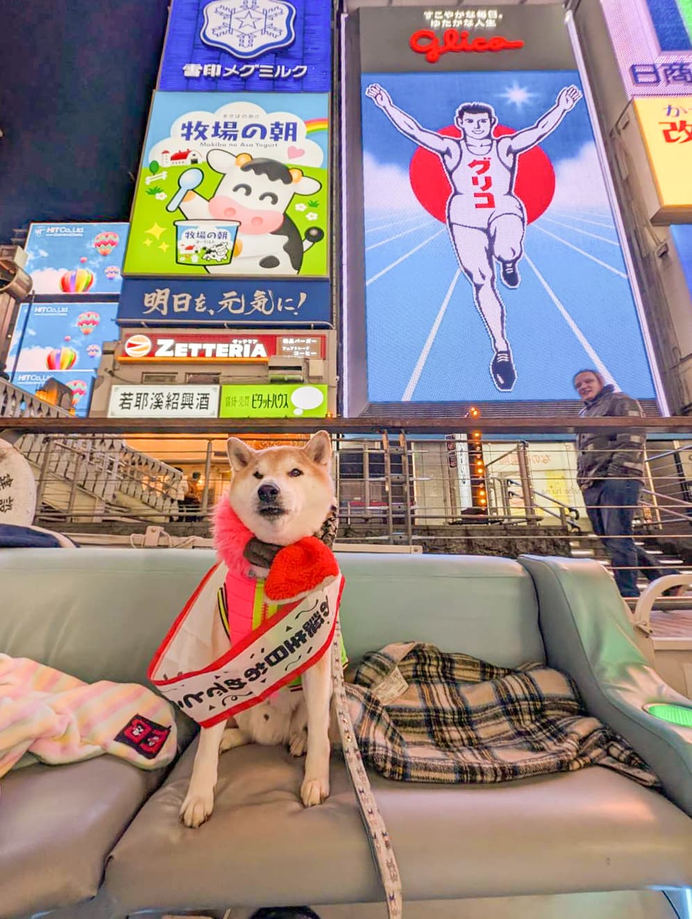 ペット同伴クルーズ対応