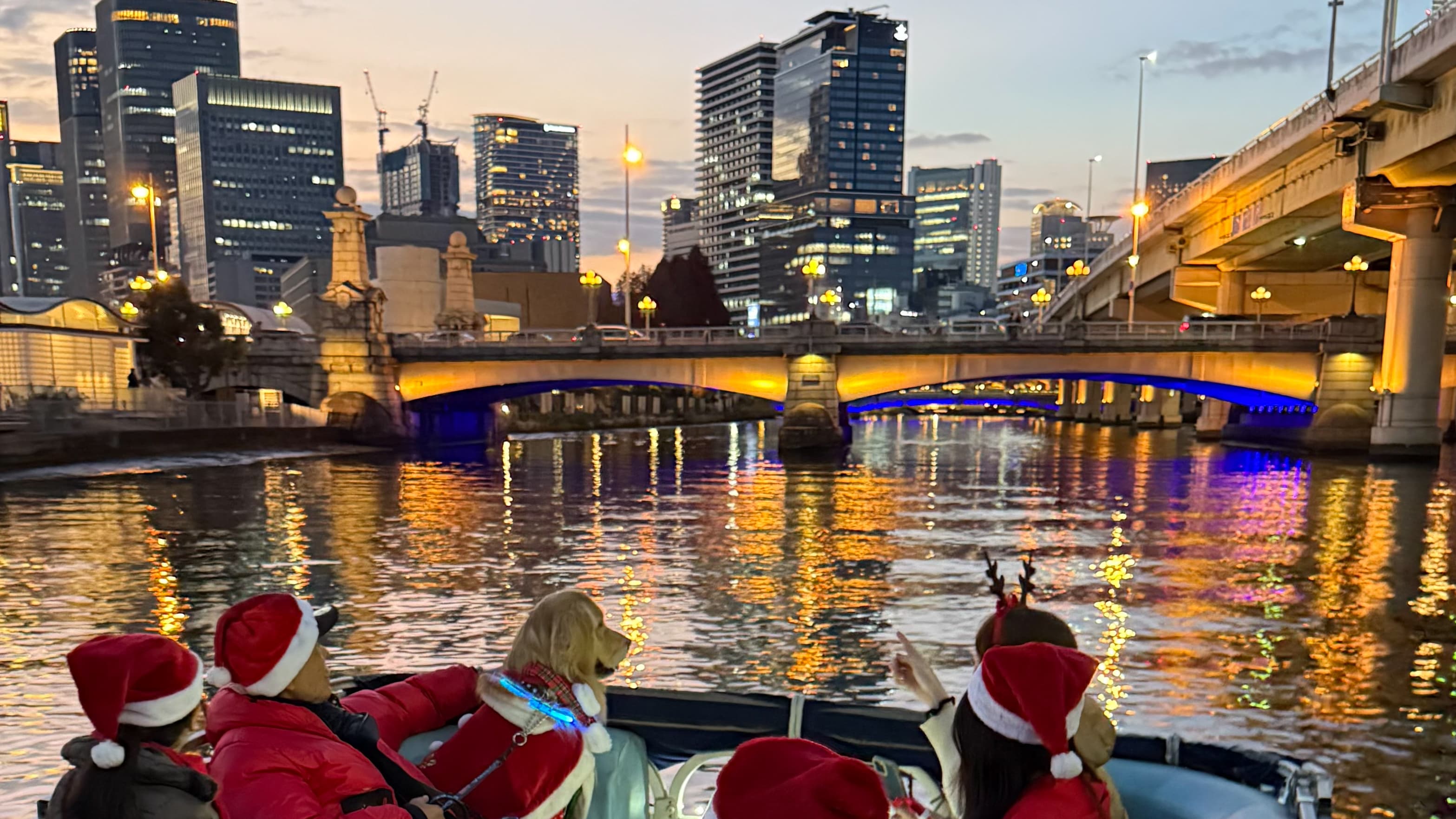 川沿いに広がるイルミネーションと高層ビル群を船上から鑑賞