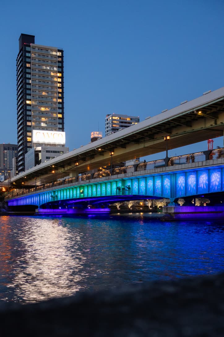 幻想的な橋をくぐる