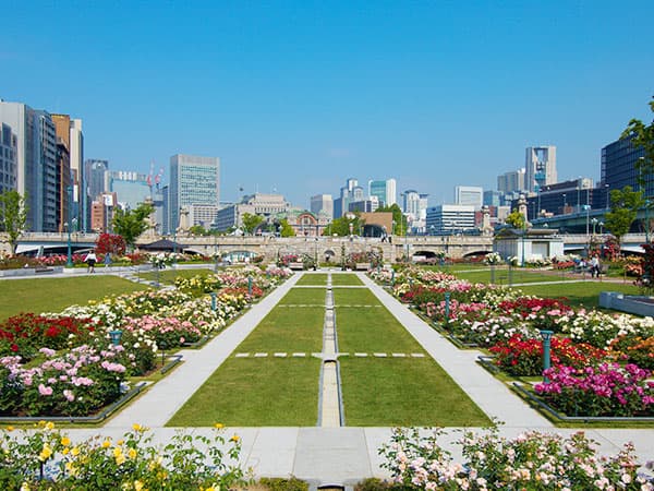 都会に咲く、色とりどりのローズガーデン