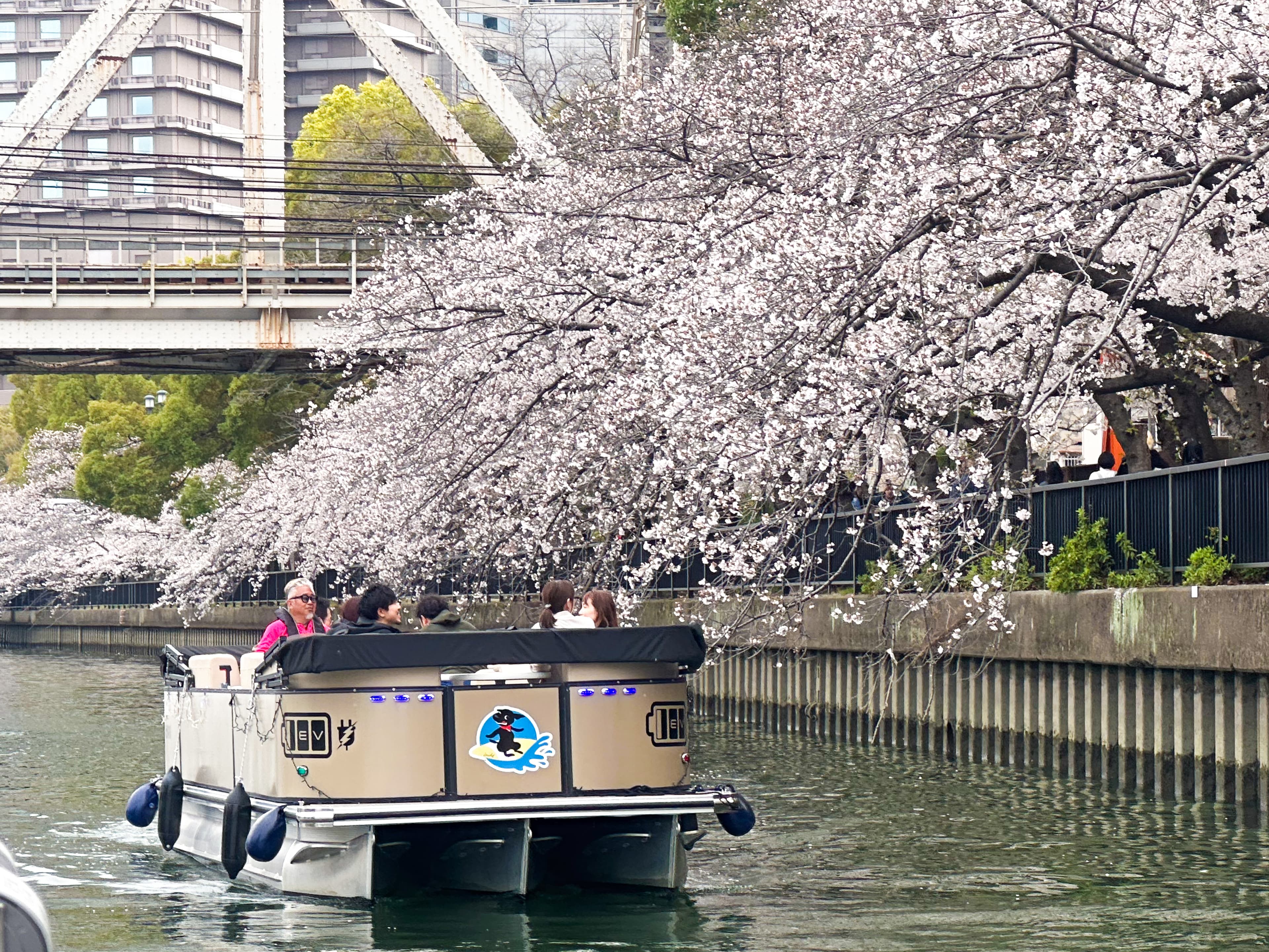 約50分のクルーズ